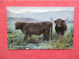 Tuck Series. Highland Bull & Cow.    Ref 6399 - Mucche