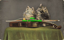 R602634 Harmony. Cats. Kittens. Violin. Kromo Series No. 21686 XX. B. And D. 191 - Wereld