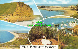 R602642 Dorset Coast. Salmon. Multi View - Wereld
