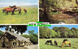 R602644 New Forest. Multi View - Wereld