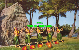 R602650 Hula. Despite Modernization Is Still One Of Most Graceful Of Dances. Mov - Wereld