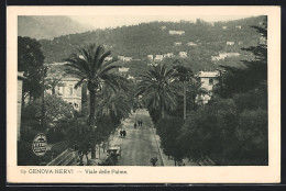 Cartolina Genova-Nervi, Viale Delle Palme  - Genova (Genoa)