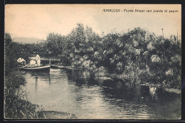 Cartolina Siracusa, Fiume Anapo Con Piante Di Papiri  - Siracusa