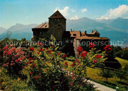 73591369 Vaduz Schloss Vaduz  Vaduz - Liechtenstein