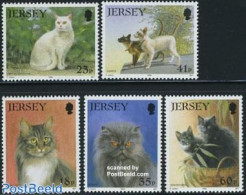 Jersey 1994 Cats 5v, Mint NH, Nature - Cats - Jersey