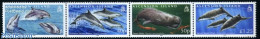 Ascension 2009 Whales & Dolphins 4v [:::], Mint NH, Nature - Fish - Sea Mammals - Fische