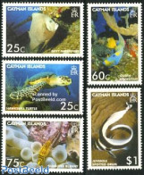 Cayman Islands 2006 Aquatic Treasures 5v, Mint NH, Nature - Fish - Reptiles - Turtles - Fishes