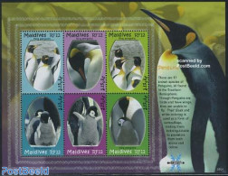 Maldives 2007 Penguins 6v M/s, Mint NH, Nature - Birds - Penguins - Maldives (1965-...)