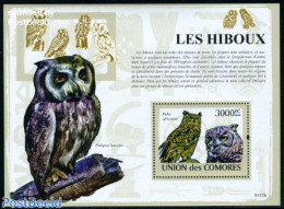 Comoros 2009 Owls S/s, Mint NH, Nature - Birds - Birds Of Prey - Owls - Isole Comore (1975-...)