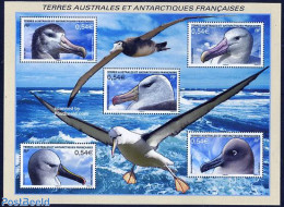 French Antarctic Territory 2007 Albatros 5v M/s, Mint NH, Nature - Birds - Ungebraucht