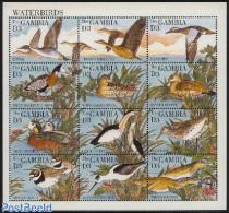 Gambia 1995 Waterbirds 12v M/s, Mint NH, Nature - Birds - Ducks - Gambia (...-1964)