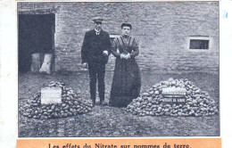 Ecole De Bienfaisance De L'état A SAINT HUBERT - Les Effets Du Nitrate Sur Pommes De Terre - Saint-Hubert