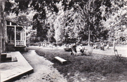 BOMAL Sur OURTHE - Restaurant Ferme De Palogne  - Durbuy