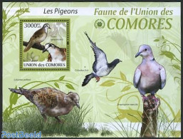 Comoros 2009 Pigeons S/s, Mint NH, Nature - Birds - Isole Comore (1975-...)