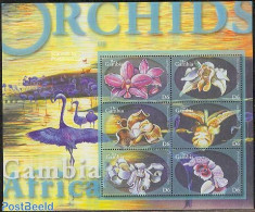 Gambia 2001 Orchids 6v M/s, Mint NH, Nature - Flowers & Plants - Orchids - Gambia (...-1964)