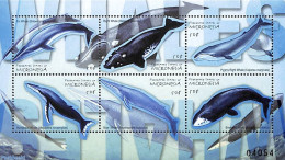 Micronesia 2001 Whales 6v M/s, Mint NH, Nature - Sea Mammals - Micronesië