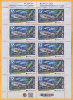 2024 Moldova Sheet Europa 2024. Underwater Flora And Fauna. Fish, Beluga, Mint - 2024