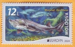 2024 Moldova Europa 2024. Underwater Flora And Fauna. Fish, Beluga, 1v Mint - Moldavie