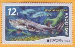 2024 Moldova Europa 2024. Underwater Flora And Fauna. Fish, Beluga, 1v Mint - Moldavië