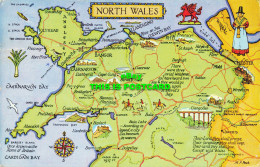 R602395 North Wales. M. F. Peck. Map. Salmon. 1977 - Mondo
