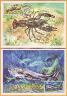 2024 Moldova MAXICARD Europa 2024. Underwater Flora And Fauna. Fish, Beluga, Crayfish - 2024