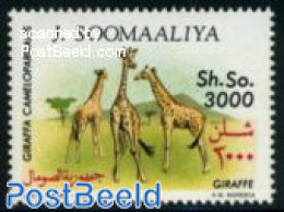 Somalia 1992 3000Sh., Stamp Out Of Set, Mint NH, Nature - Giraffe - Somalië (1960-...)