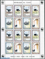 Chad 1996 WWF, Ostrich M/s (with 4 Sets), Mint NH, Nature - Birds - World Wildlife Fund (WWF) - Sonstige & Ohne Zuordnung