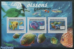 Guinea, Republic 2011 Fish 3v M/s, Mint NH, Nature - Fish - Pesci