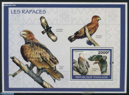 Togo 2010 Birds Of Prey S/s, Mint NH, Nature - Birds - Birds Of Prey - Togo (1960-...)