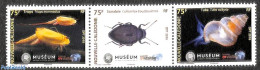 New Caledonia 2018 Museum Revisitee 3v [::], Mint NH, Nature - Insects - Shells & Crustaceans - Art - Museums - Nuevos