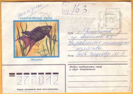 1984 USSR Russia Moldova Moldavie  11 Cover ATM - FRAMA Machine Stamps  Used - Timbres De Distributeurs [ATM]