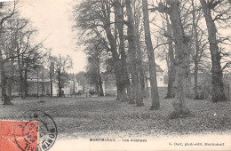 51 MONTMIRAIL LES AVENUES - Montmirail