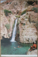 ISRAEL DEAD SEA EIN GEDI OASIS JUDEAN DESERT DAVID WATERFALL CARTE POSTALE POSTCARD ANSICHTSKARTE POSTKARTE CARTOLINA - Israele