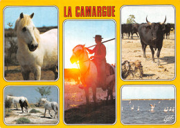 13 LA CAMARGUE - Otros & Sin Clasificación