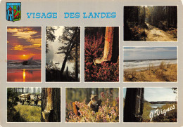 40 LE VISAGE DES LANDES - Other & Unclassified