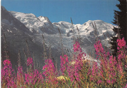 74 LE MONT BLANC ET LE GLACIER DES BOSSONS - Chamonix-Mont-Blanc