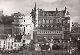 37 AMBOISE LE CHÂTEAU - Amboise