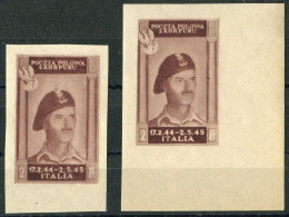 2. Polnisches Korps In Italien (Corpo Polacco), 1946, Postfrisch - Zonder Classificatie