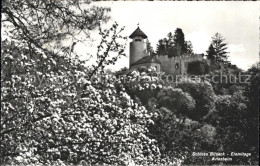 11886685 Birseck Eremitage Arlesheim Birseck - Altri & Non Classificati