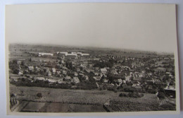 ALLEMAGNE - RHENANIE-PALATINAT - BAD BERGZABERN - Panorama - 1951 - Bad Bergzabern