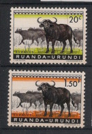 RWANDA - 1959-61 - N°YT. 206 Et 210 - Buffles - Neuf Luxe ** / MNH / Postfrisch - Cows