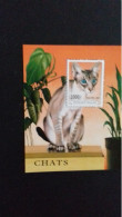 TOGO BF  N° 314 CHAT ** - Katten