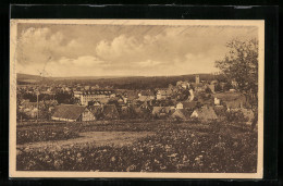 AK Schömberg /Wildbad, Ortsansicht Mit Fernblick  - Schömberg