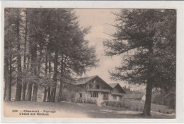 CHAUMONT PAYSAGE CHALET DES MELEZES - Autres & Non Classés