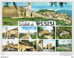 ASSISI:  SALUTI  DA .... -  VEDUTINE  -  FG - Perugia