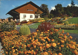 11866945 Arni AG Selma-Hof Versuchs- Und Schaugarten Arni AG - Other & Unclassified