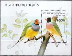1996, Togo, Gouldian Finch, Animals, Birds, Souvenir Sheet, MNH(**), TG BL400 - Togo (1960-...)