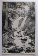 ALLEMAGNE - BADE-WURTEMBERG - HÖLLENTAL - Ravenna Wasserfall - Höllental