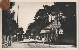 44 - Carte Postale Ancienne De  SAINT BREVIN LES PINS    Avenue De Mindin - Saint-Brevin-les-Pins