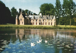 72 TUFFE CHATEAU DE CHERONNE LE PLAN D'EAU ET LES CANARDS - Tuffe